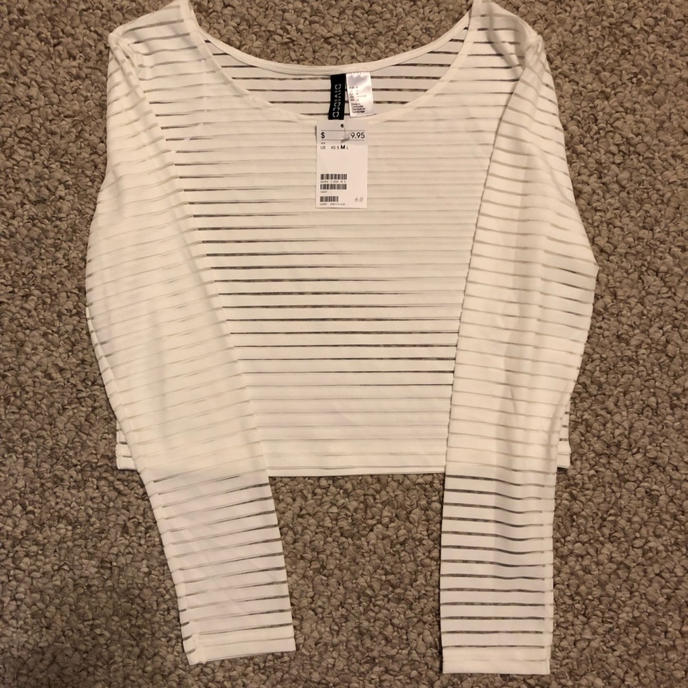 🦋2 FOR 10🦋sheer long-sleeve stripped crop top